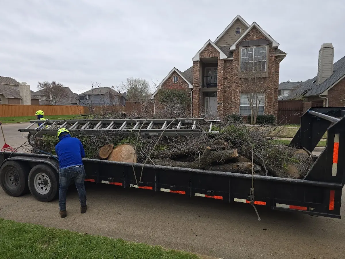 Expert Tree Fertilization with proper safety equipment in East Bloomfield